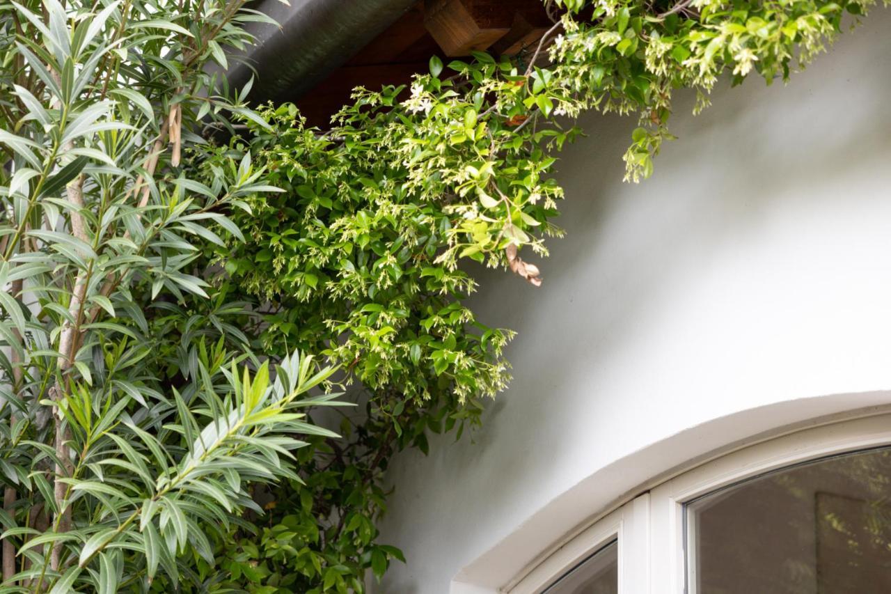 The Artist'S Nest - By My Home In Como Bagian luar foto
